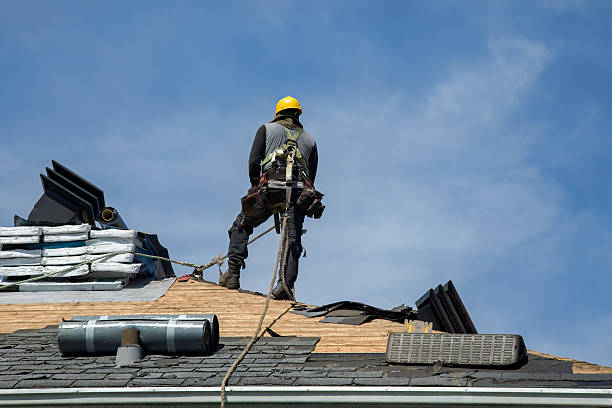 Professional Storm Damage Roof Repair technician working in Harrisburg, AR